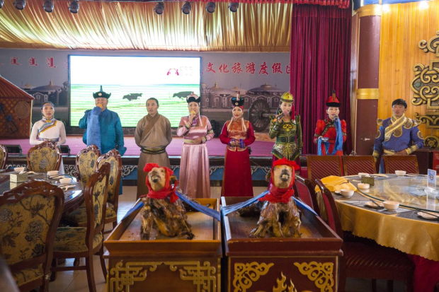 Honeyview_image009.jpg Honeyview_image009.jpg