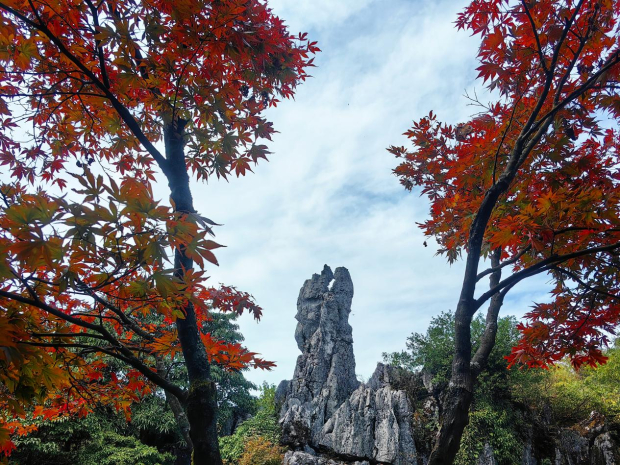 image007 (2).jpg image007 (2).jpg